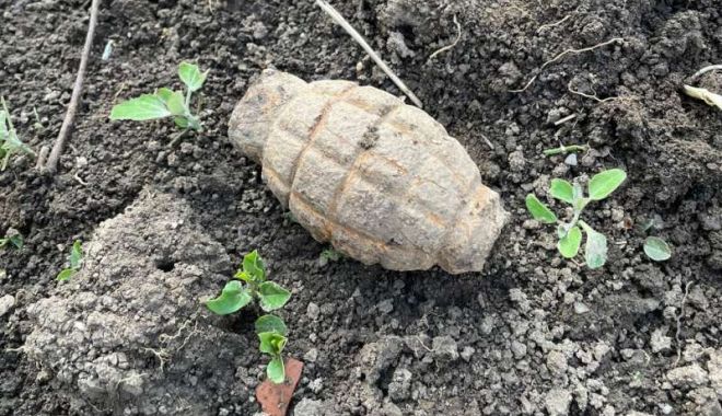 Grenadă descoperită în grădina unei gospodării, în timpul unor lucrări agricole - grenada-1682143769.jpg