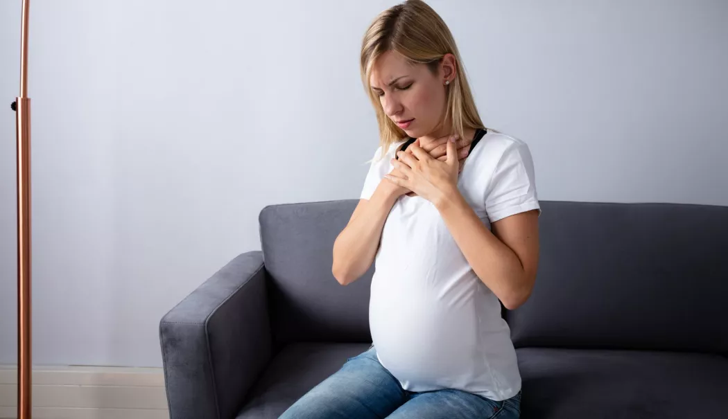 Grețurile din sarcină. Ce vi se întâmplă și ce puteți face, pe scurt - greturi-1769944733.webp