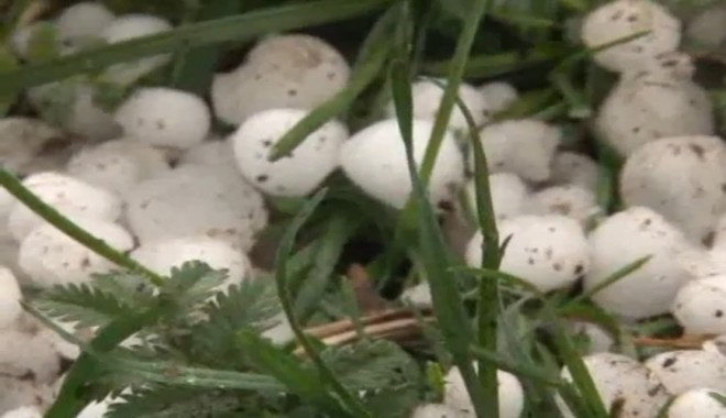 Furtună cu grindină pe Valea Prahovei / VIDEO - grindina-1349286556.jpg