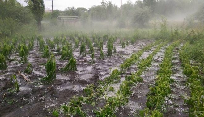 COD PORTOCALIU ÎN DOBROGEA! Avertizare de grindină - grindina-1528206966.jpg