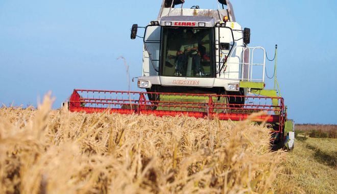 Starea bună a culturilor de grâu din Europa ţine în frâu costurile cu alimentele - griu-1685287918.jpg