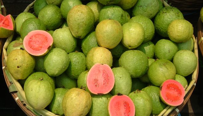 Guava - fructul care vă ajută să vă mențineți în formă - guava2-1622745221.jpg