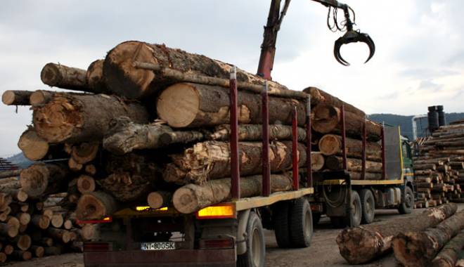 Guvernul discută măsurile privind exportul de material lemnos - guvernuldiscutamasurilemn-1432118494.jpg