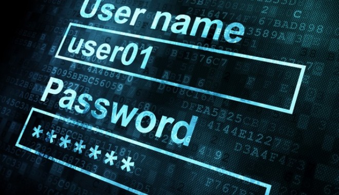 Hackerul 