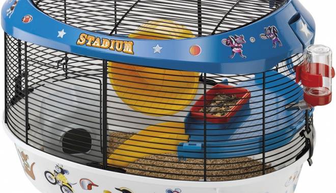 Cum ajutați hamsterii să nu se plictisească - hamsteri-1416926494.jpg