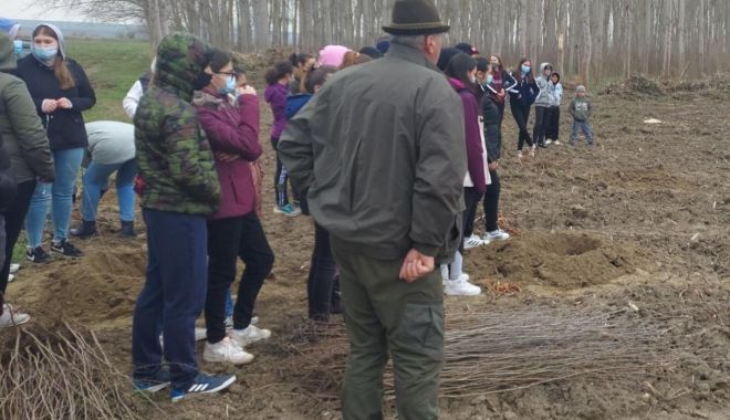 Primăria Hârşova, sprijin pentru plantarea a 4.000 de plopi în apropierea oraşului - harsovaplantare-1617815395.jpg