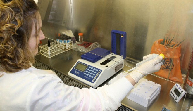 Măsuri de prevenire a hepatitei A - hepatitaa-1355499570.jpg