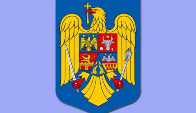 Comisia pentru revizuirea Constituției a aprobat introducerea stemei țării pe drapelul României - heraldistmaghiarsteagulsecuiesce-1370343789.jpg