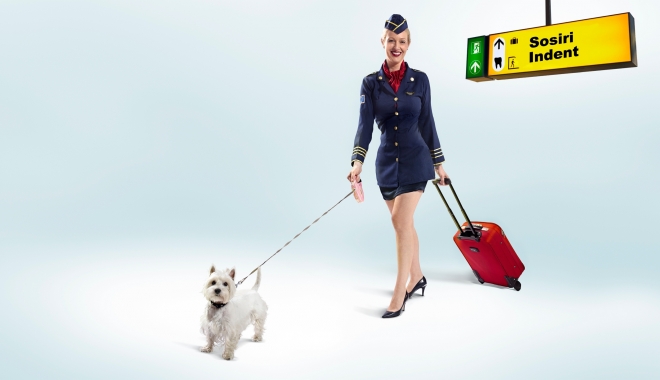 Protocol de colaborare între Federația Asociațiilor de Promovare Turistică din România și Asociația Aeroporturilor din România - herotourism1-1471956451.jpg