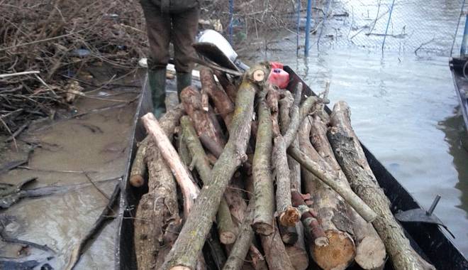 Hoți de lemne prinși pe Dunăre - hotidelemne1-1424254629.jpg
