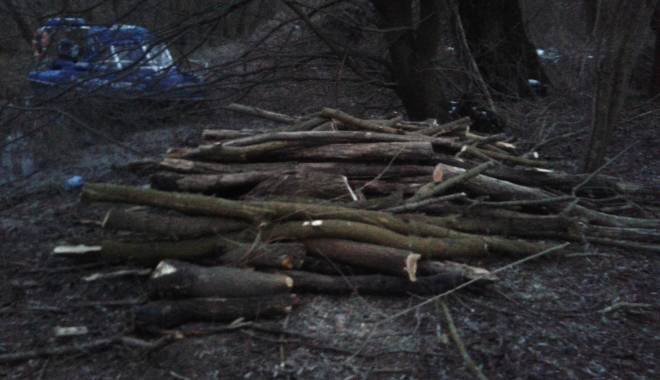 Hoți de lemne prinși pe Dunăre - hotidelemne3-1424254668.jpg