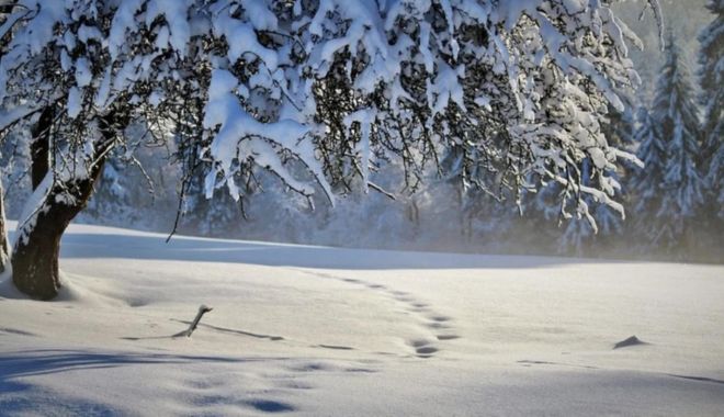 Vine iarna în România! ANM a emis prognoza meteo actualizată. Cum va fi vremea de 1 Decembrie - iarna-1669740508.jpg