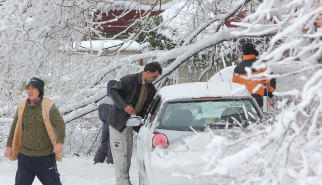 Ce a adus prima ninsoare în județul Constanța - iarnalaconstanta70-1327250815.jpg