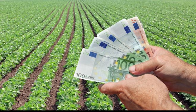 Ce sume primesc fermierii din sectorul vegetal - iatacesumeprimescfermieriidinsec-1559677556.jpg
