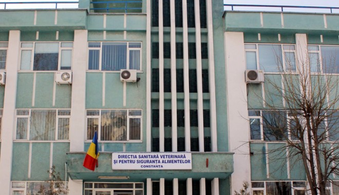 Iată cum 
