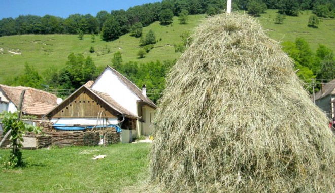 Unde putem petrece o vacanță în inima naturii, cu bani puțini - iataundevacantabaniputini-1395854940.jpg