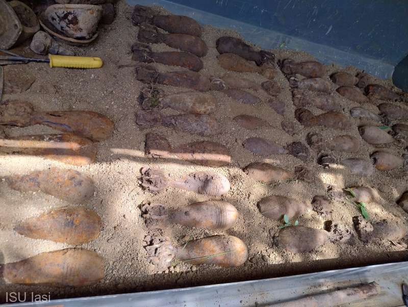 Aproape 50 de bombe de aruncător din Al Doilea Război Mondial, descoperite într-o pădure