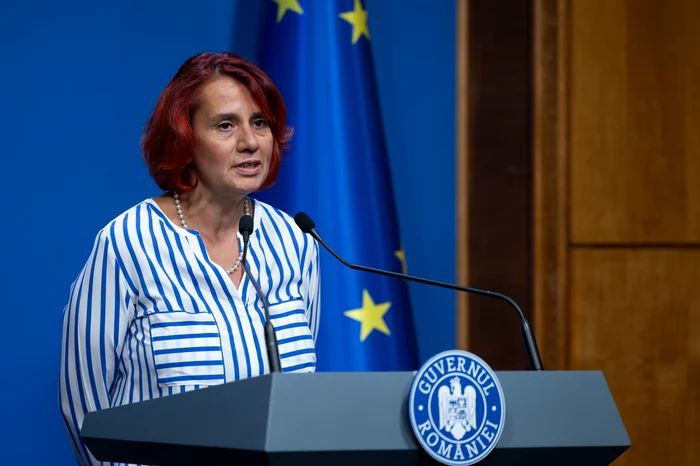 Ioana Dogioiu: Reforma administrației va fi adoptată, cel mai probabil, prin ordonanță de urgență - id-1771173668.webp