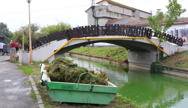 Canalul care face legătura între lacurile Tăbăcărie și Siutghiol a fost igienizat - igienizare-1-1691668980.jpeg