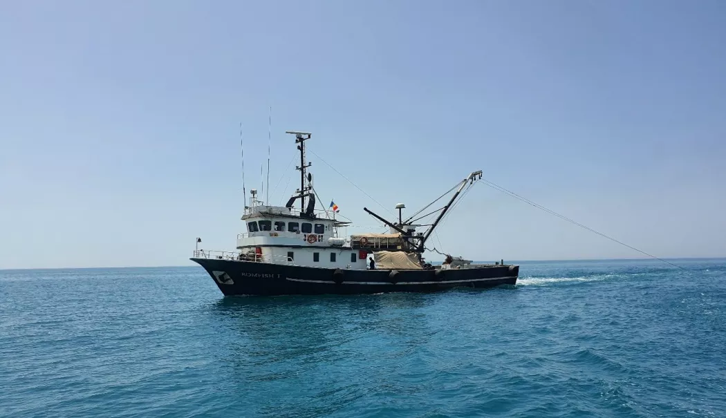 Vas de pescuit atacat în Marea Neagră. Un marinar a murit, iar alți patru au fost răniți - image0021380x892-1780729498.webp
