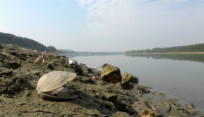 Dunărea a scăzut cu doi metri la Galați. Mașinile de mare tonaj nu mai pot folosi bacul