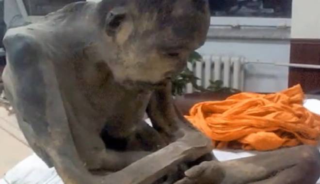 Un călugăr mumificat acum 200 de ani nu ar fi mort, ci într-o stare de meditație profundă - image20150251929664070calugarmum-1423209234.jpg
