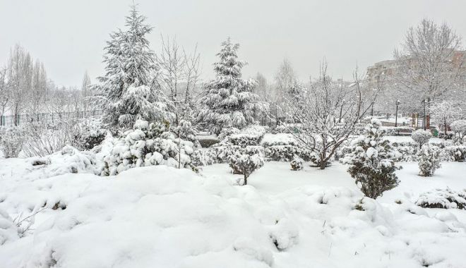 Luna decembrie este caracterizată de ninsoare, viscol şi ceaţă - image20210417247424860ninsoarepr-1669886387.jpg