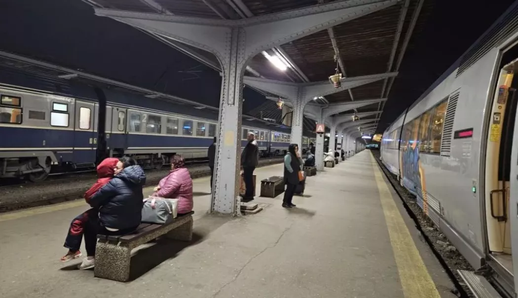 Prostituată, obligată la muncă în folosul comunităţii după ce a furat portofelul unui client - image2024036269528220peronlumina-1773579329.webp