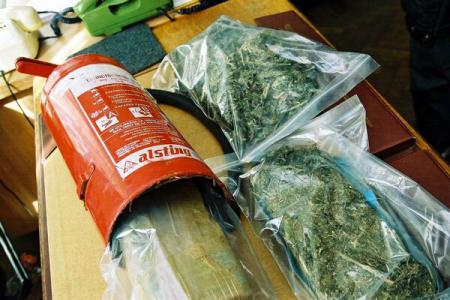 Bătrână de 86 de ani - dealer de canabis! - imageresize-1428652546.jpg