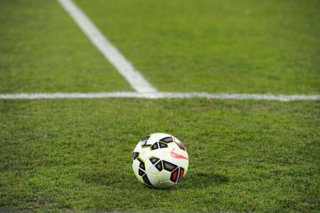 UEFA, propunere pentru Mondialul din 2018 - imageresize1-1427134332.jpg