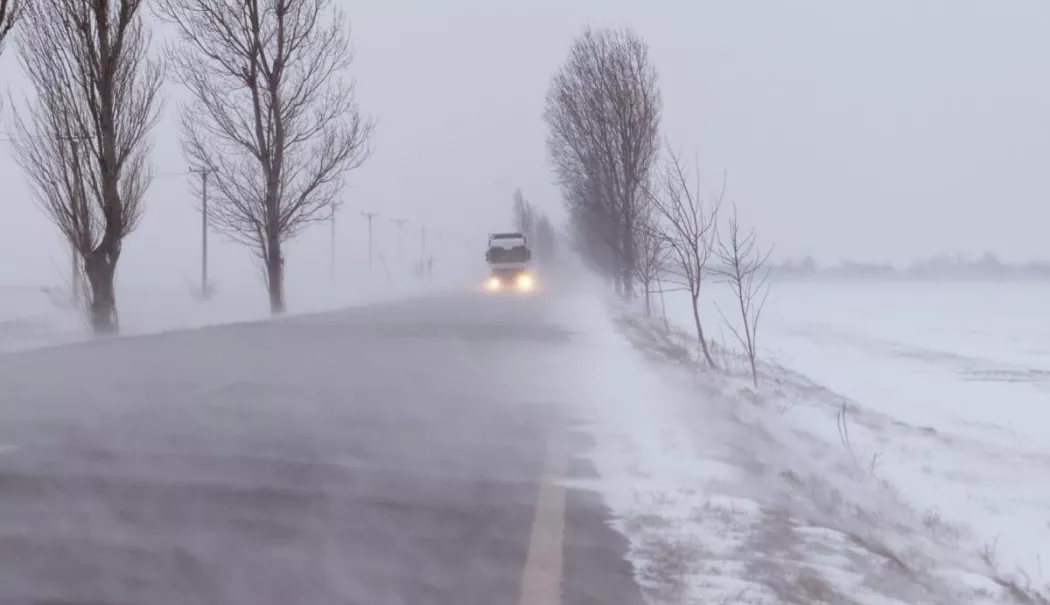 ANM a emis un Cod Galben de vânt, ninsori viscolite și polei, în Dobrogea - img-1-1766479995.webp