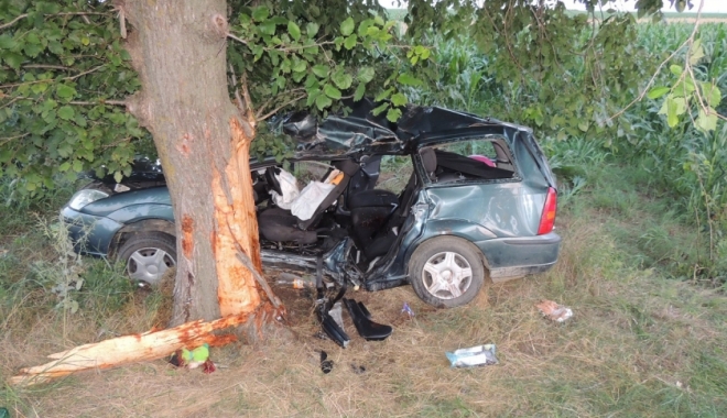 CUMPLIT ACCIDENT RUTIER. O fetiță, tatăl și unchiul - MORȚI! Alte două victime, grav rănite - img-1498222855.jpg
