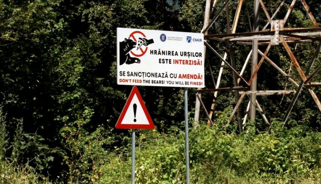 Cei care hrănesc urșii și fac fotografii vor fi aspru pedepsiți. În 10 ani s-au dat doar 18 sancţiuni - img-1752661568.jpg