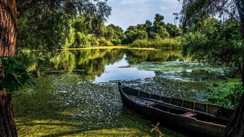 Garda de Mediu va fi restructurată. Rezervația Biosferei Delta Dunării va trece în subordinea Comisariatului Județean Tulcea - img-2-1758195620.jpg
