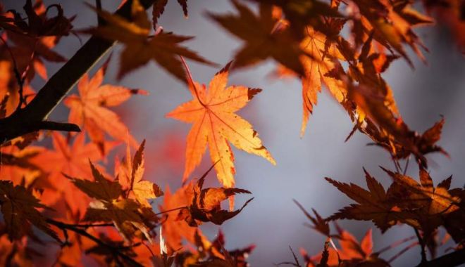 SE SCHIMBĂ VREMEA! Un val neobișnuit de căldură aduce temperaturi anormal de mari - img1-1539160316.jpg