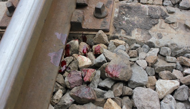 GALERIE FOTO/ Un constănțean a murit după ce a fost lovit de tren, în cartierul Poarta 6 - img1046-1360160349.jpg