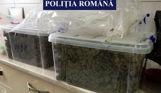 PERCHEZIȚII LA CONSTANȚA! 7,5 kilograme de cannabis, ridicate în urma unui flagrant - img20180217wa0021-1519300592.jpg