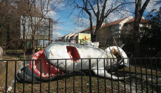Marele rechin de la Delfinariu a fost pus la pământ de vremea rea! - img20190223wa0005-1550927022.jpg