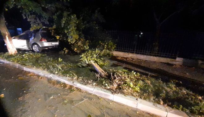 Maşină în flăcări, în judeţul Constanţa, după ce a lovit un copac! ŞOFERUL de 27 de ani A MURIT CARBONIZAT - img20220701wa0000-1656655468.jpg
