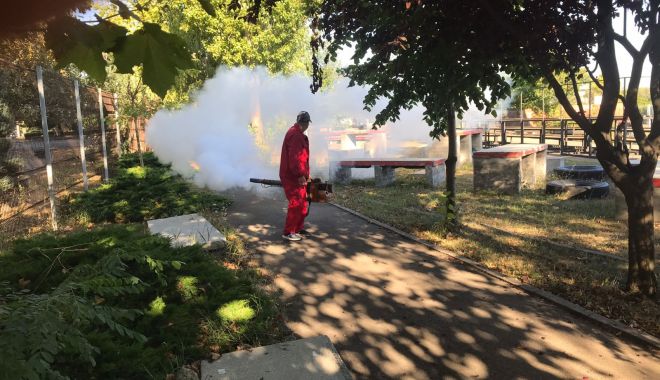 Constănţeni, atenţie! Accesul în Gravity Park şi în cele trei „Țara Piticilor”, restricţionat!