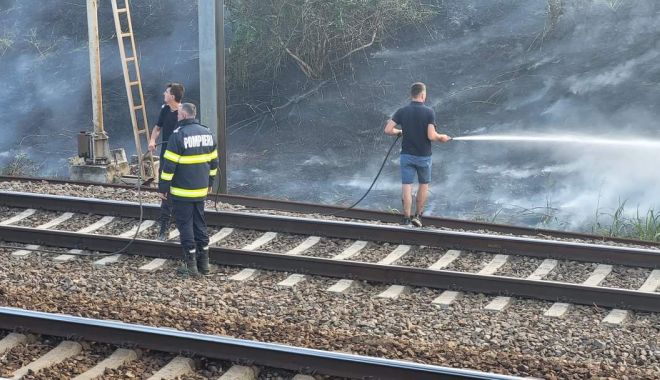 Un nou incendiu de vegetație uscată, în localitatea Poarta Albă - img20230720wa0011-1689840792.jpg