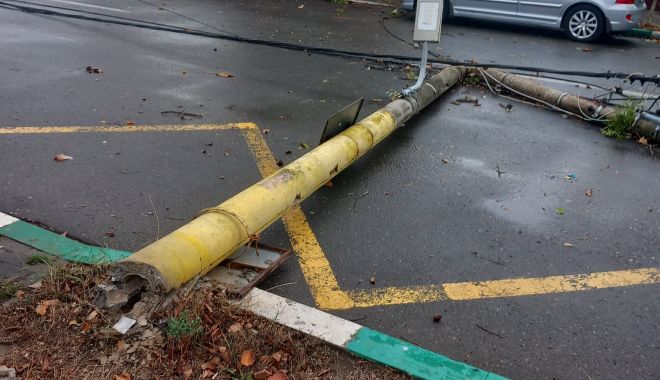 FOTO. Vijelia a făcut ravagii la Constanța! Copaci și stâlpi doborâți, mașini avariate - img20231104wa00131-1699117189.jpg