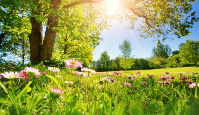 Peste 20 de grade la final de februarie: "Cea mai caldă lună din istoria măsurătorilor meteorologice"