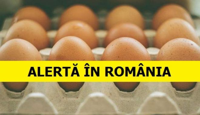 Ouăle contaminate cu Fipronil nu au ajuns la consumatori - img3-1547126486.jpg