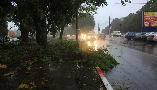 Mai mulți copaci căzuți pe străzile din municipiul Constanța - img5172-1380616521.jpg
