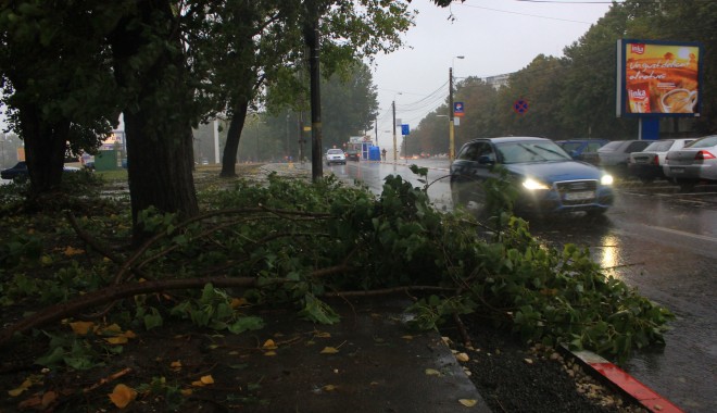 Mai mulți copaci căzuți pe străzile din municipiul Constanța - img5174-1380616539.jpg