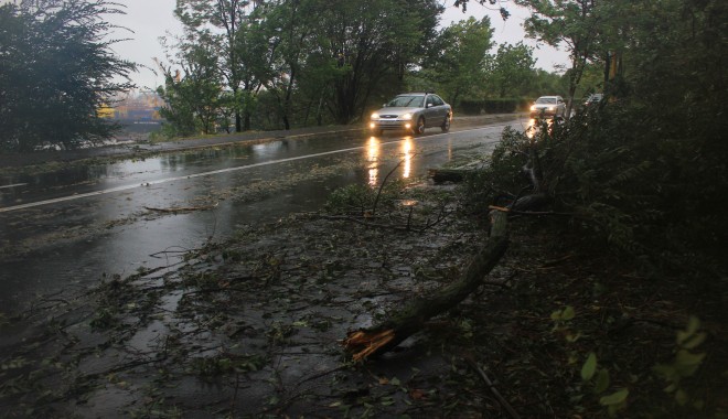 Mai mulți copaci căzuți pe străzile din municipiul Constanța - img5282-1380616724.jpg