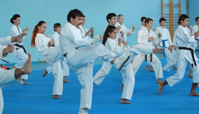 Karate / O legendă a karatelor a susținut un stagiu la Constanța. Galerie FOTO - img8982-1378026558.jpg