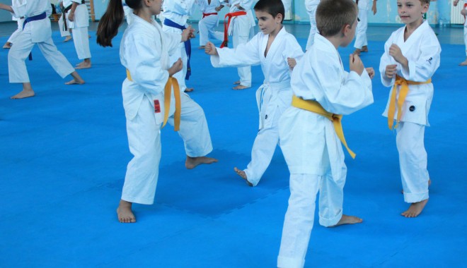 Karate / O legendă a karatelor a susținut un stagiu la Constanța. Galerie FOTO - img9074-1378026572.jpg