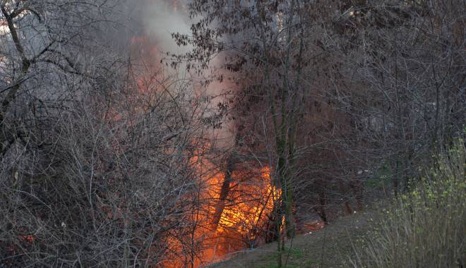 GALERIE FOTO și VIDEO / Incendiu pe strada Prelungirea Traian - imgp5639-1457281618.jpg